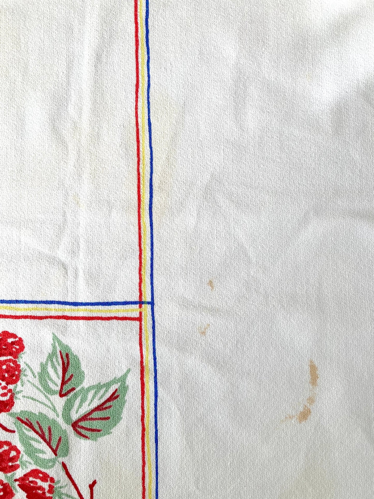 Vintage 50s USA ”Simtex” Fruit Print Cotton Tablecloth